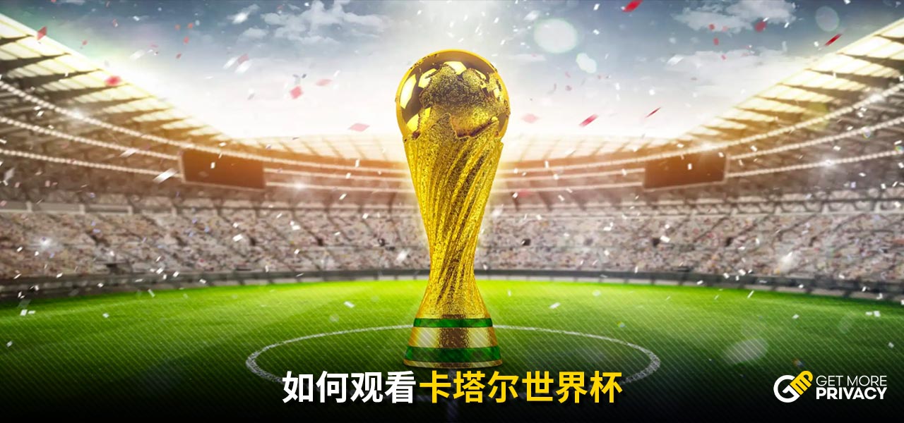 雷恩的策略